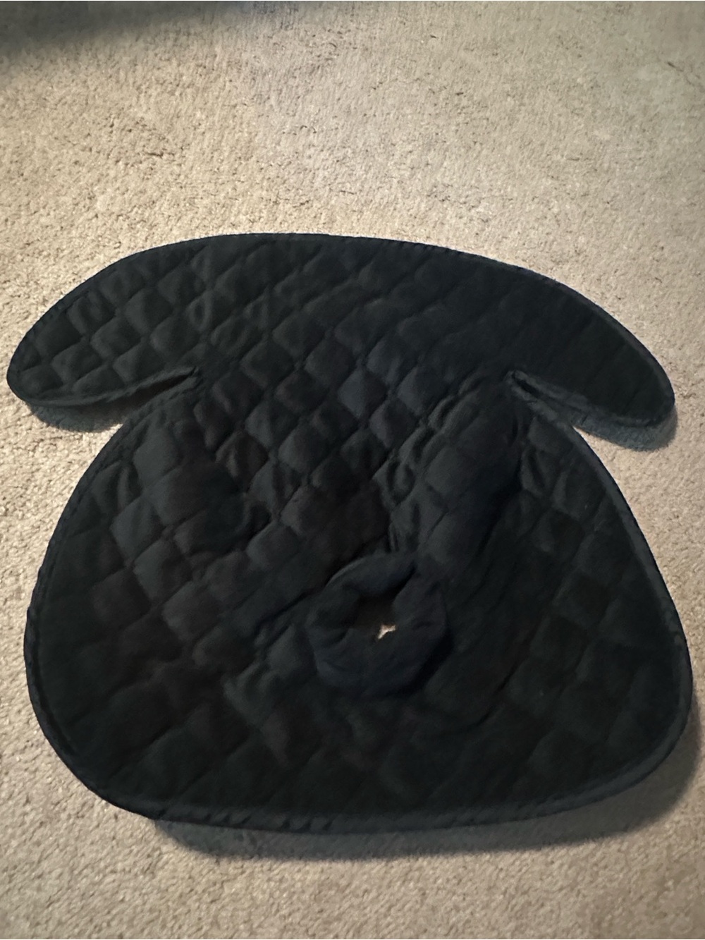 Potty Training Car Seat Protector